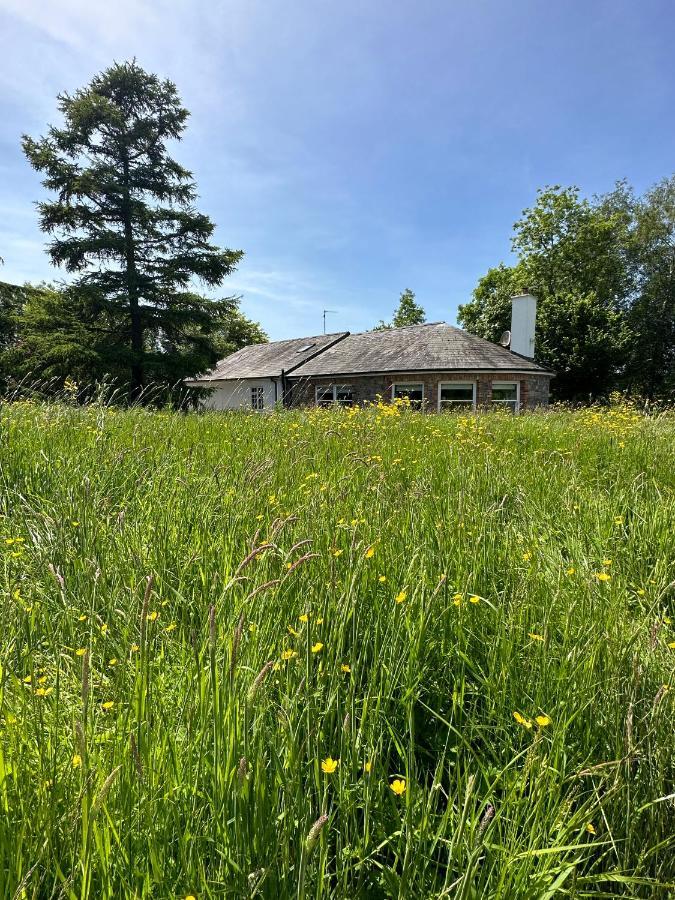 Balsoon Lodge Наван Екстериор снимка